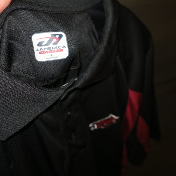 Arkansas Razorbacks Polo Logo Shirt - Picture 3 of 4